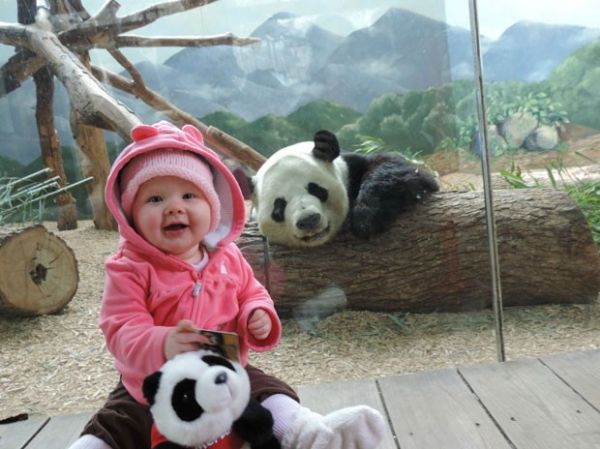 Panda virou hit ao sorrir para foto com beb