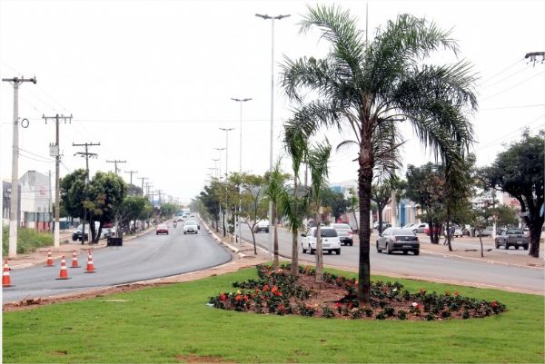 Prefeitura promete trabalho permanente de paisagismo em Cuiab;  imagens 
