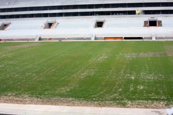 Gramado da Arena entra no foco e gerente garante controle contra praga