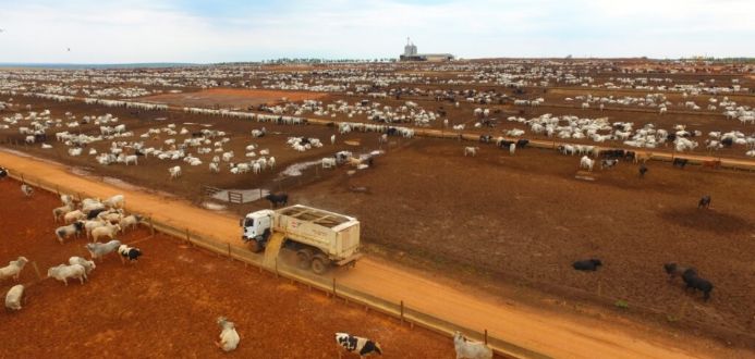 Juza suspende aes e execues contra conglomerado do agro para renegociao de R$ 180 milhes em dvidas