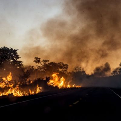 Mauro diz que planejar e comprar equipamentos no bastam se criminosos continuarem ateando fogo