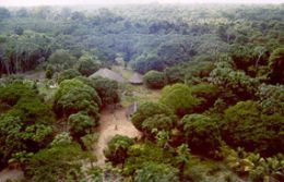 Reservas indgenas em MT se destacam em desmatamento