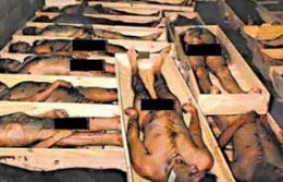 Massacre Carandiru: 116 policiais envolvidos no caso vo a jri popular