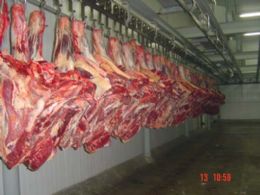 Exportaes de carnes crescem 10% em janeiro