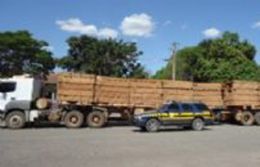 Desembargador nega devoluo de carreta com madeira ilegal