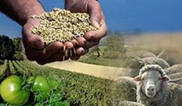 Dirio Oficial publica liberao de R$ 10 bilhes para financiamentos da agroindstria