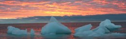 Expedio de cientistas vai medir acidificao do Oceano rtico