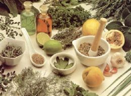Anvisa faz manual sobre utilizao de plantas medicinais
