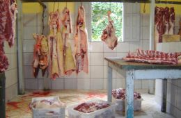 Oito estabelecimentos de carne, leite e embutidos so interditados em MT