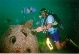 Ibama normatiza a instalao de recifes artificiais