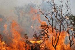 Bombeiros combatem fogo em serra no Tocantins