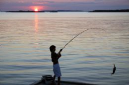 Centro de pesquisa do Pantanal inicia Censo da Pesca