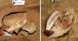 Arquelogos descobrem caixas de ferramentas de 100 mil anos atrs