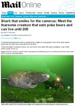 Foto capta tubaro raro 'sorridente' capaz de devorar ursos polares