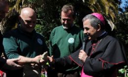 Crocodilo  designado 'embaixador do meio ambiente' pelo Vaticano