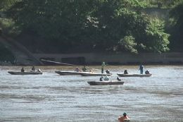 Barcos tomam conta do rio durante subida de cardume