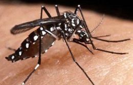 Sinop est entre os 91 municpios do pas com risco de surto de dengue