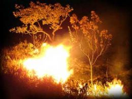 Municpio quer apoio do Estado para combater queimadas