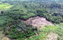 Estudo do Imazon diz que desmatamento na Amaznia vai aumentar