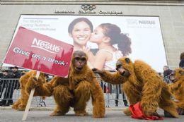Com fantasia de orangotango, Greenpeace protesta contra Nestl