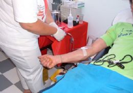 Ministrio reduz quarentena para usurio de maconha doar sangue