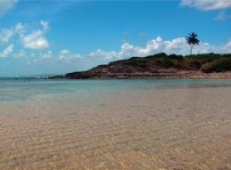 Ilha de Santo Aleixo  paraso particular