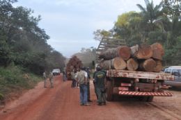 Ibama aumenta efetivo de fiscais em MT devido a alta no desmatamento