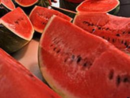 Exploso de melancias preocupa fazendeiros chineses