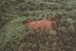 Indonsia reduzir emisses com fim de destruio de florestas