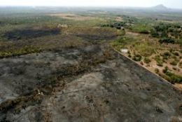 Encontro  debater aes estratgicas para o perodo de seca em Mato Grosso, Rondnia e Acre