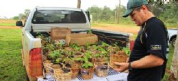 Rally Berohok vai plantar quase 2 mil rvores para compensar emisso de carbono
