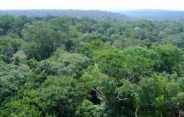 Indonsia cria lei que suspende a explorao de florestas por 2 anos