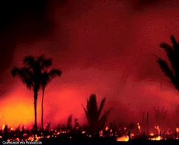 Ibama refora combate a queimadas no Tocantins
