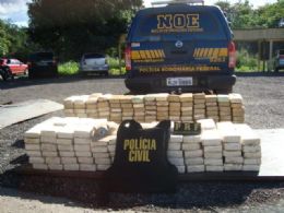 Motorista que transportava 300 kg de droga em caminho  preso em MT