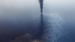 Petrleo ainda afeta ecossistema do Golfo do Mxico nos EUA, diz estudo
