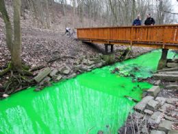 Vazamento qumico deixa ribeiro verde na Alemanha