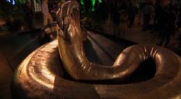 Instituto 'recria' cobra que compete com T-Rex como maior predador