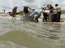 Acidentes durante limpeza de leo no Golfo do Mxico matam dois