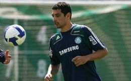Palmeiras joga para construir rodada perfeita no Brasileiro-2009