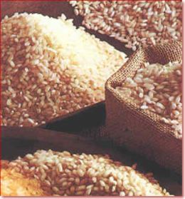 Governo vai leiloar contratos de opo de arroz