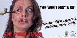 Anncio contra testes com animais  banido por 'violncia injustificada'