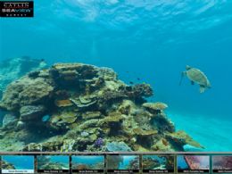 Projeto permite mergulho virtual em 360˚ na Grande Barreira de Coral