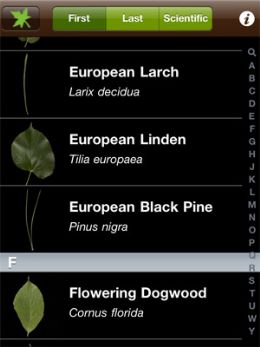 Aplicativo para iPhone consegue identificar espcies de plantas