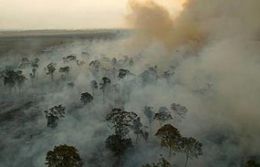 Previso para perodo de seca  de aumento nas queimadas e poluio