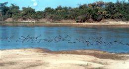 Abrace o Rio Cuiab tem despertado a preservao ambiental nas escolas