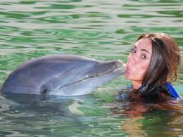 Bicho sortudo! Nicole Bahls d beijo em golfinho durante mergulho em Cancun