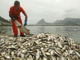 Mais de 35 toneladas de peixes so removidas da lagoa Rodrigo de Freitas