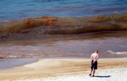 Petrleo 'colore' ondas de praia nos Estados Unidos