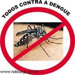 Primeira morte por dengue ocorre em Pedra Preta