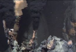 Cientistas descobrem espcies no fundo do Oceano ndico